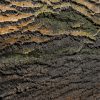 Amazon Wandpaneel Holzoptik Perspektivdarstellung